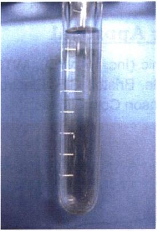 Picture1